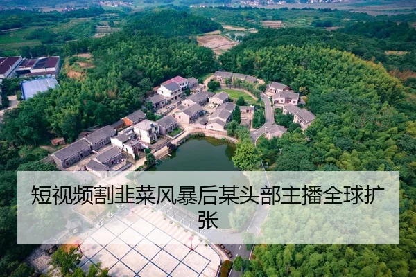 短视频割韭菜风暴后某头部主播全球扩张