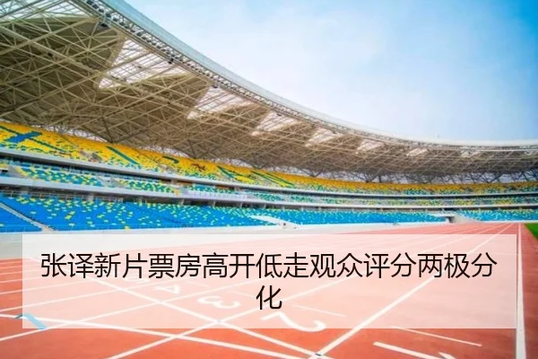 张译新片票房高开低走观众评分两极分化